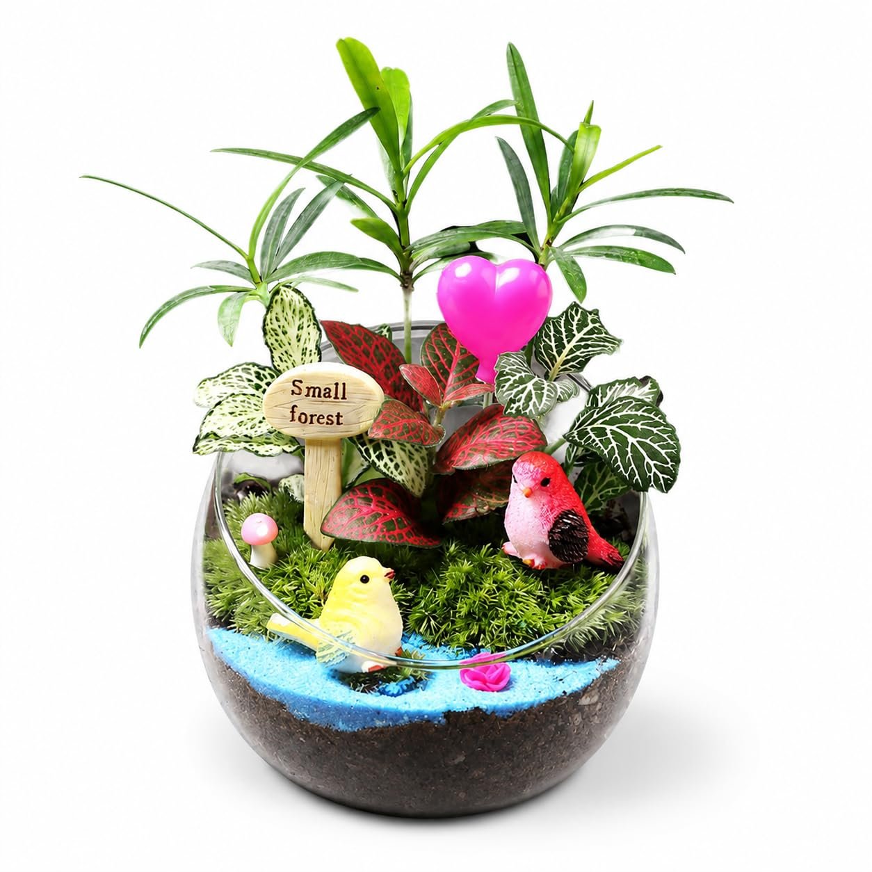 Desktop Moss Mini Landscape Kit
