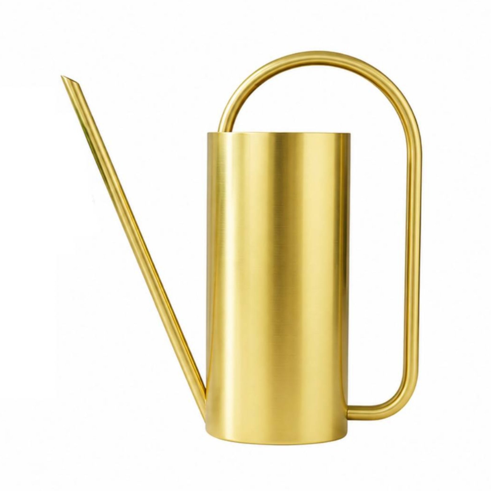 Rust-Resistant Stainless Steel Watering Can