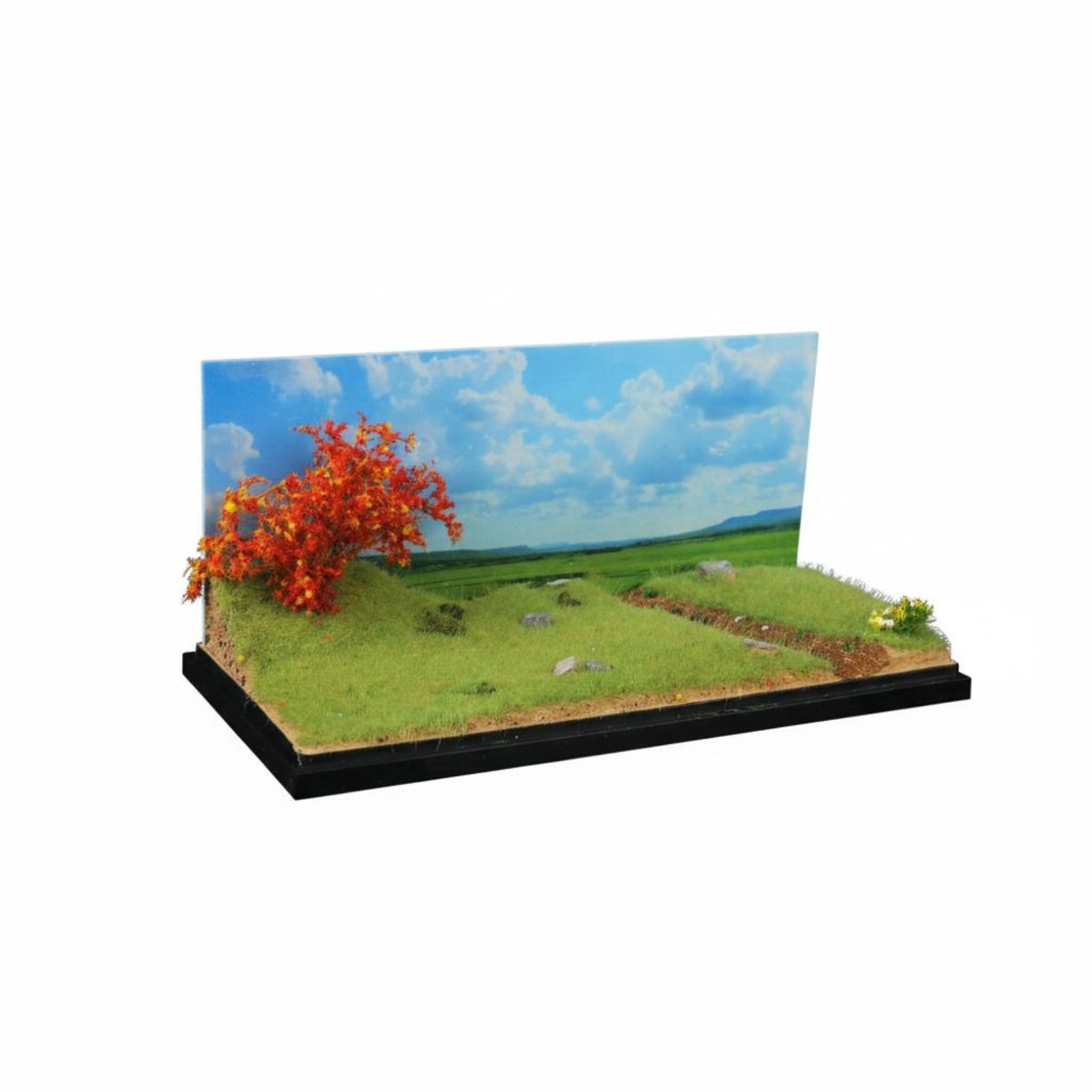 1:64 Wetland Grassland Diorama