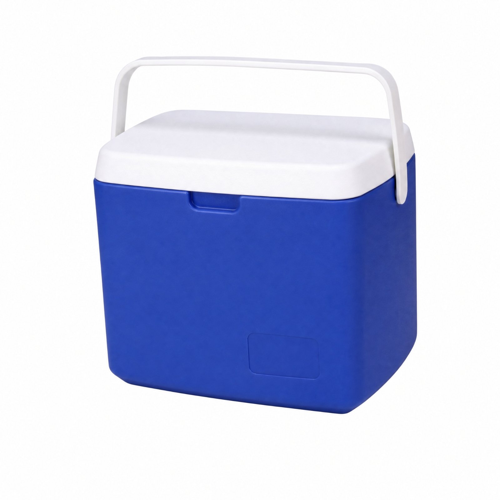 Cold Storage Container with PU Insulation
