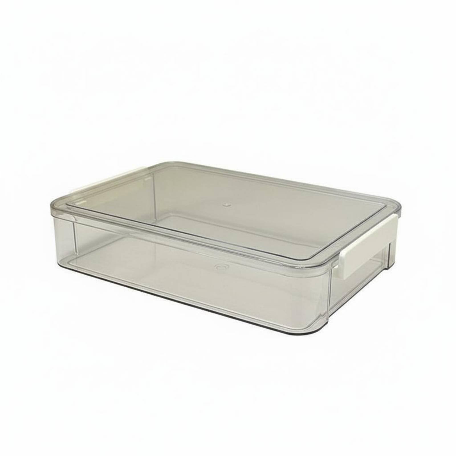 Files Storage Box Clear