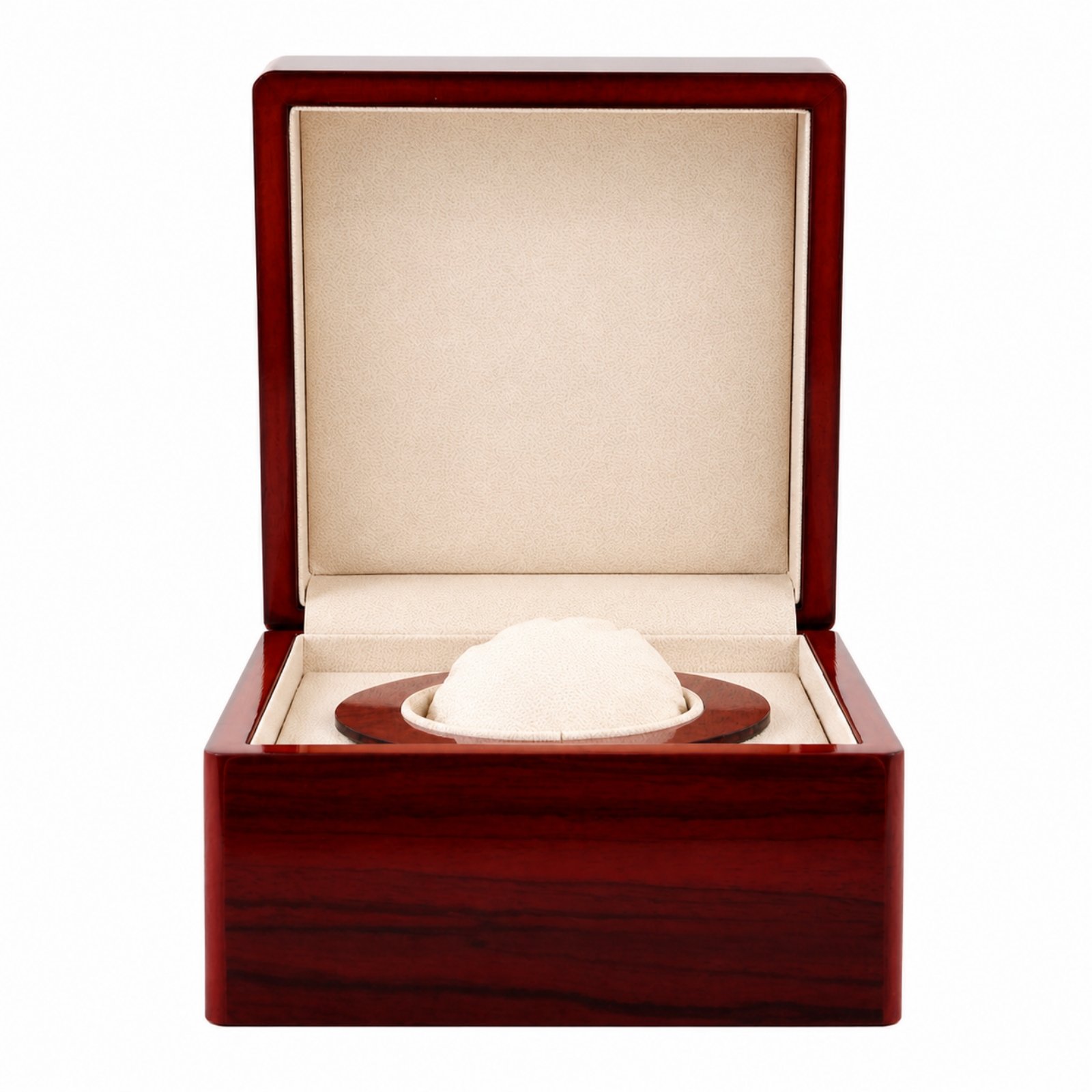 Watch Display Case