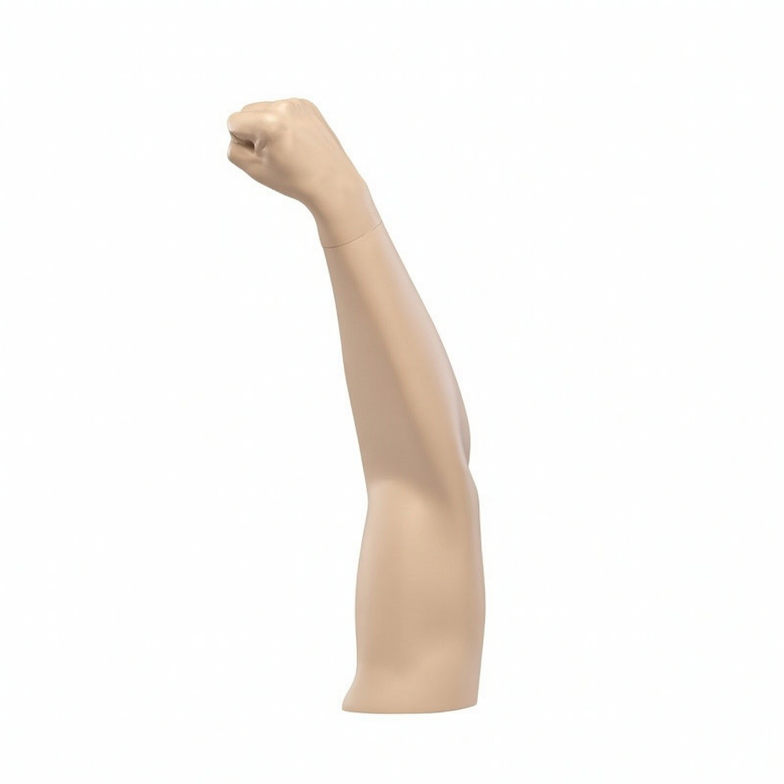 Arm Display Prop with Flared Base