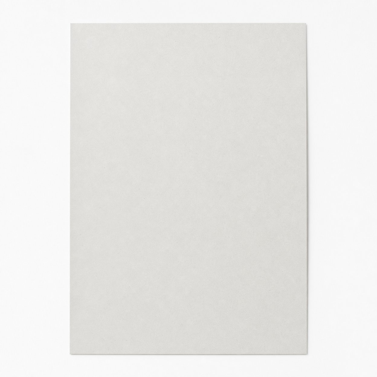 Grey-Backed White Cardboard