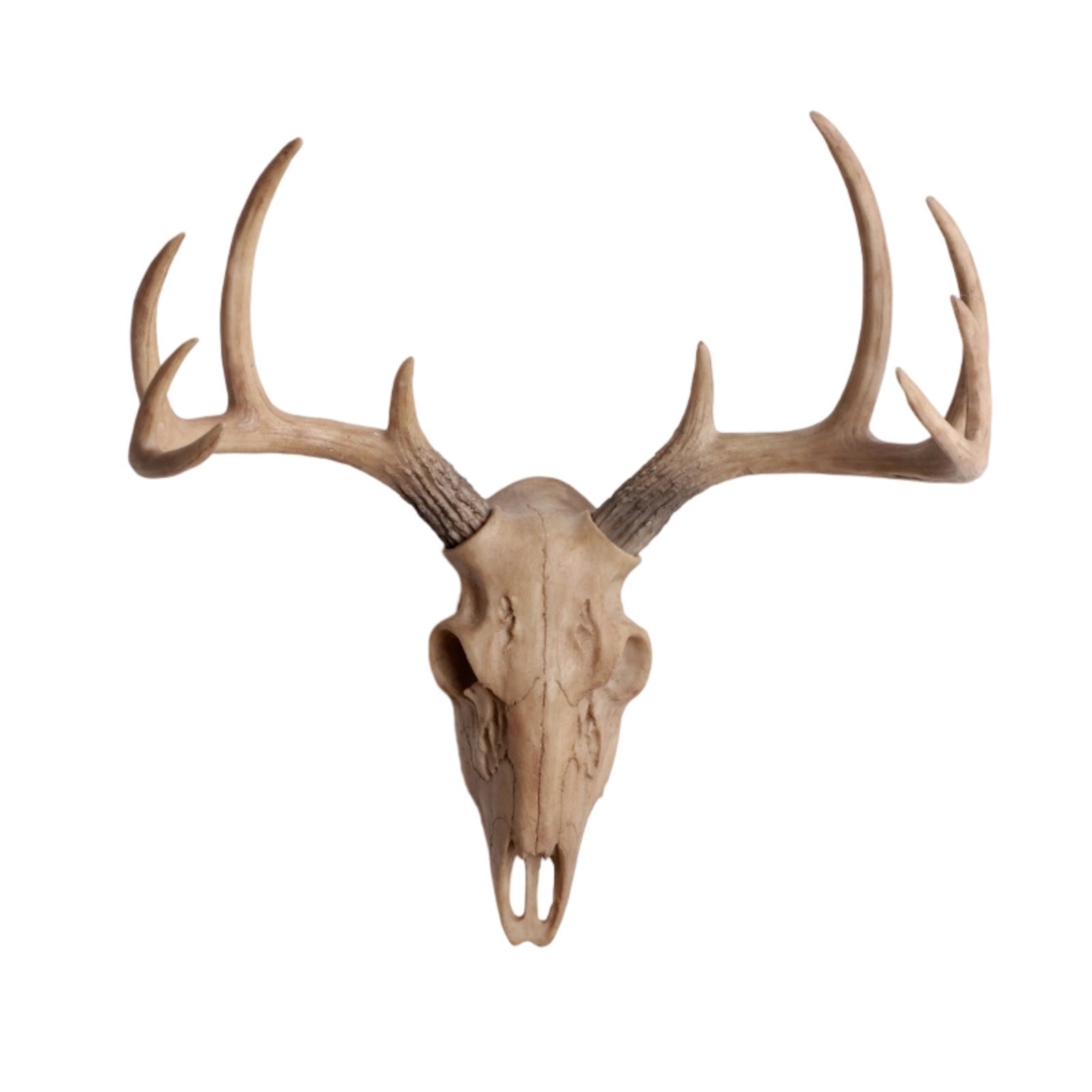 Resin Stag Cranium Wall Decor