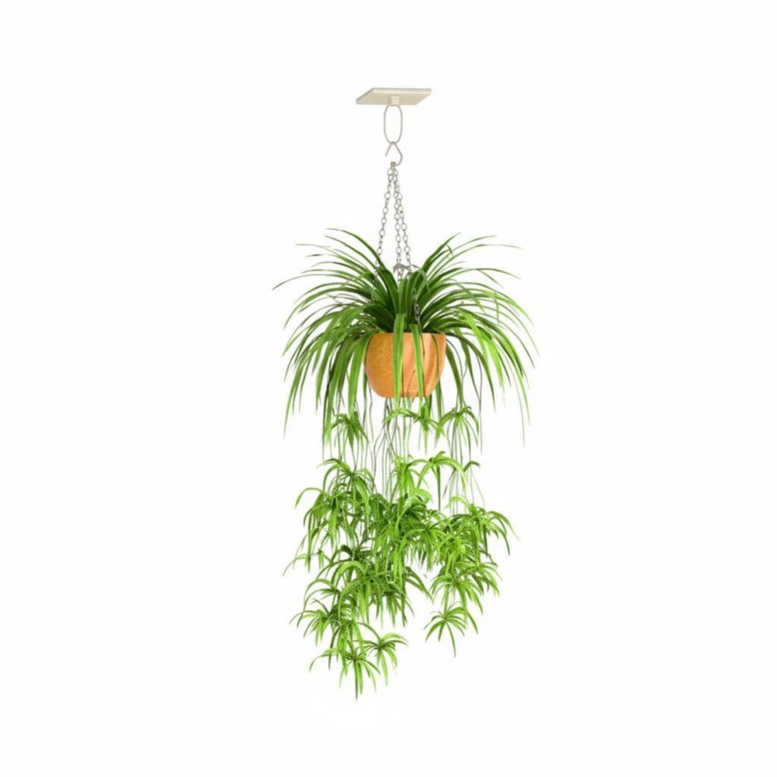 Set of 4 Surface-Mounted Hanger