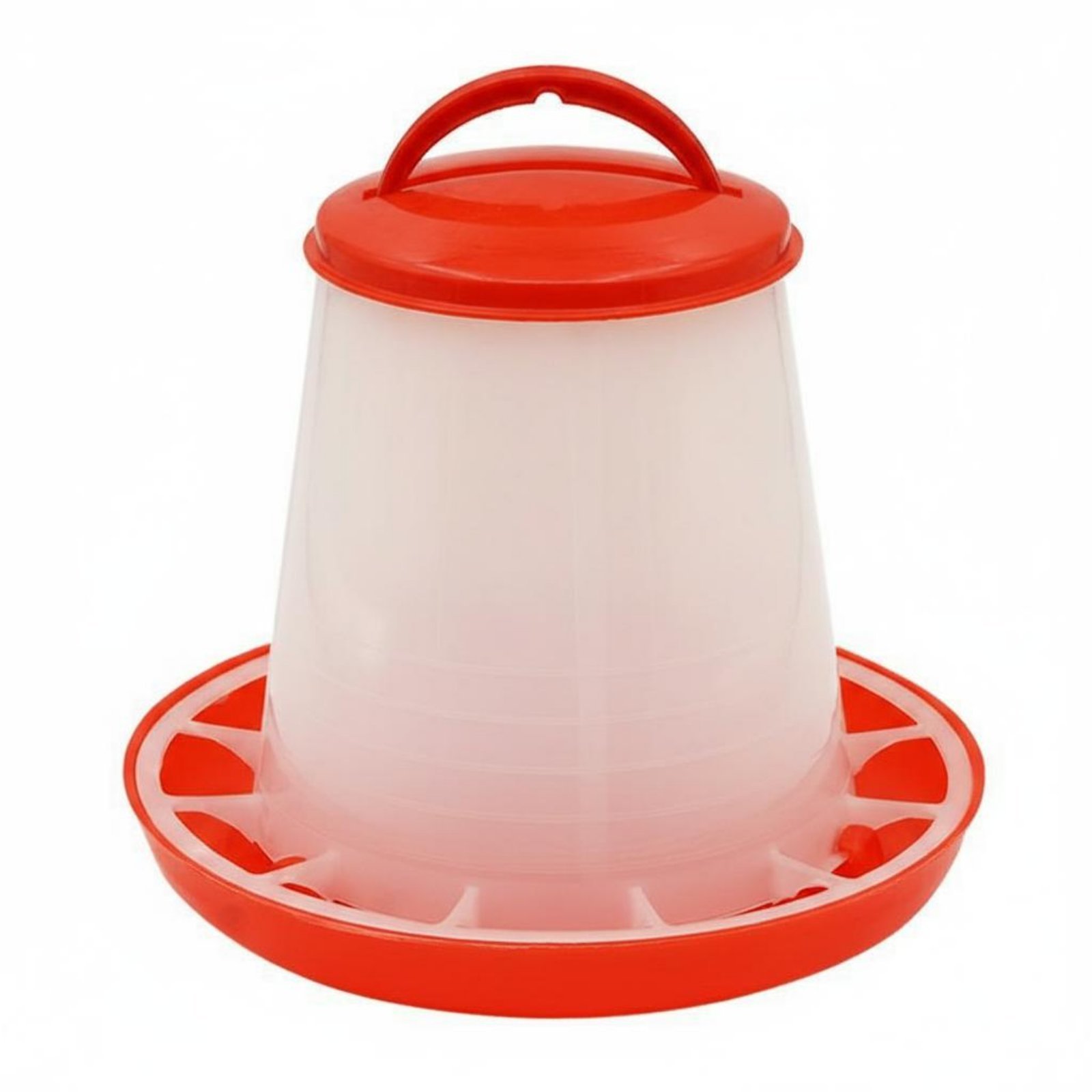 Chick Feeder