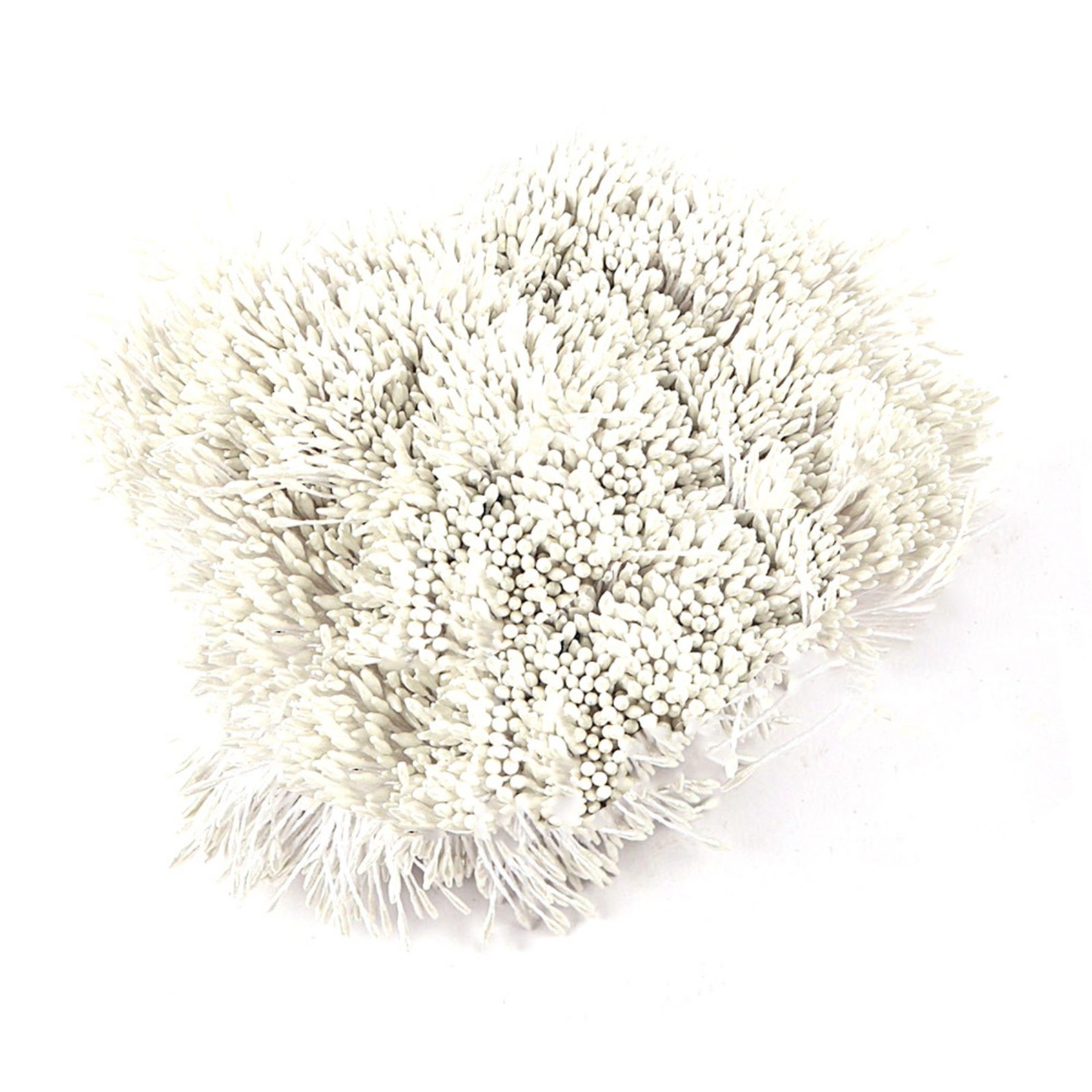 Set of 6 Gypsum Flower Stamen