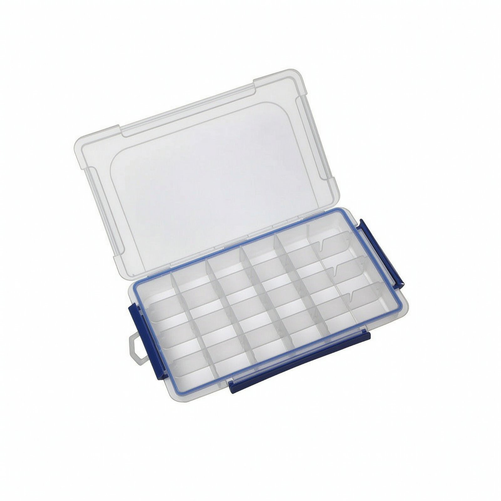 Organizer with Dividers