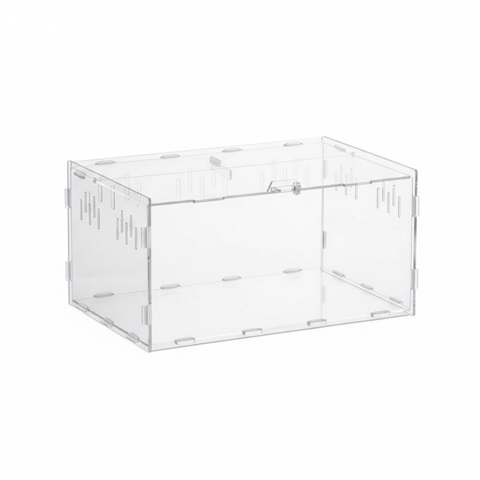 Reptile Enclosure Transparent