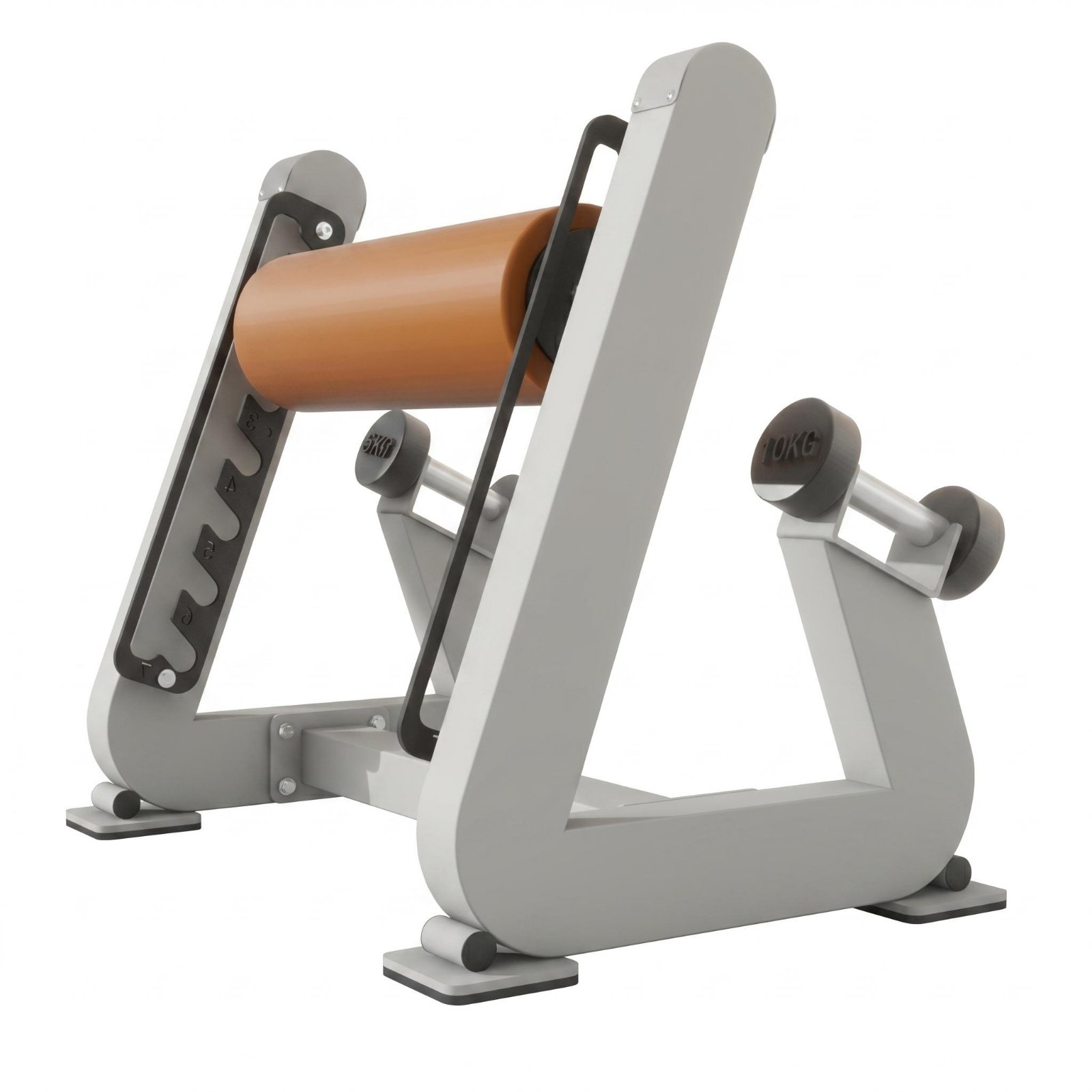 Bulgarian Split Squat Rack