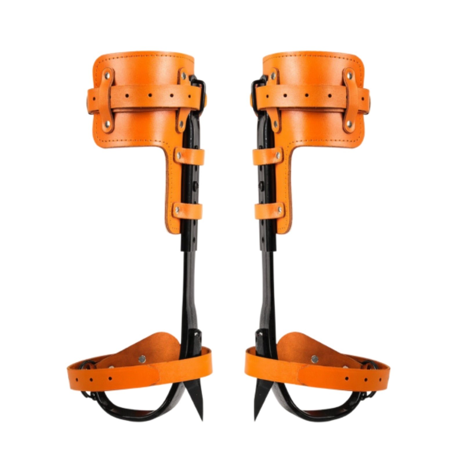 Height-Adjustable Tree Climbing Spurs