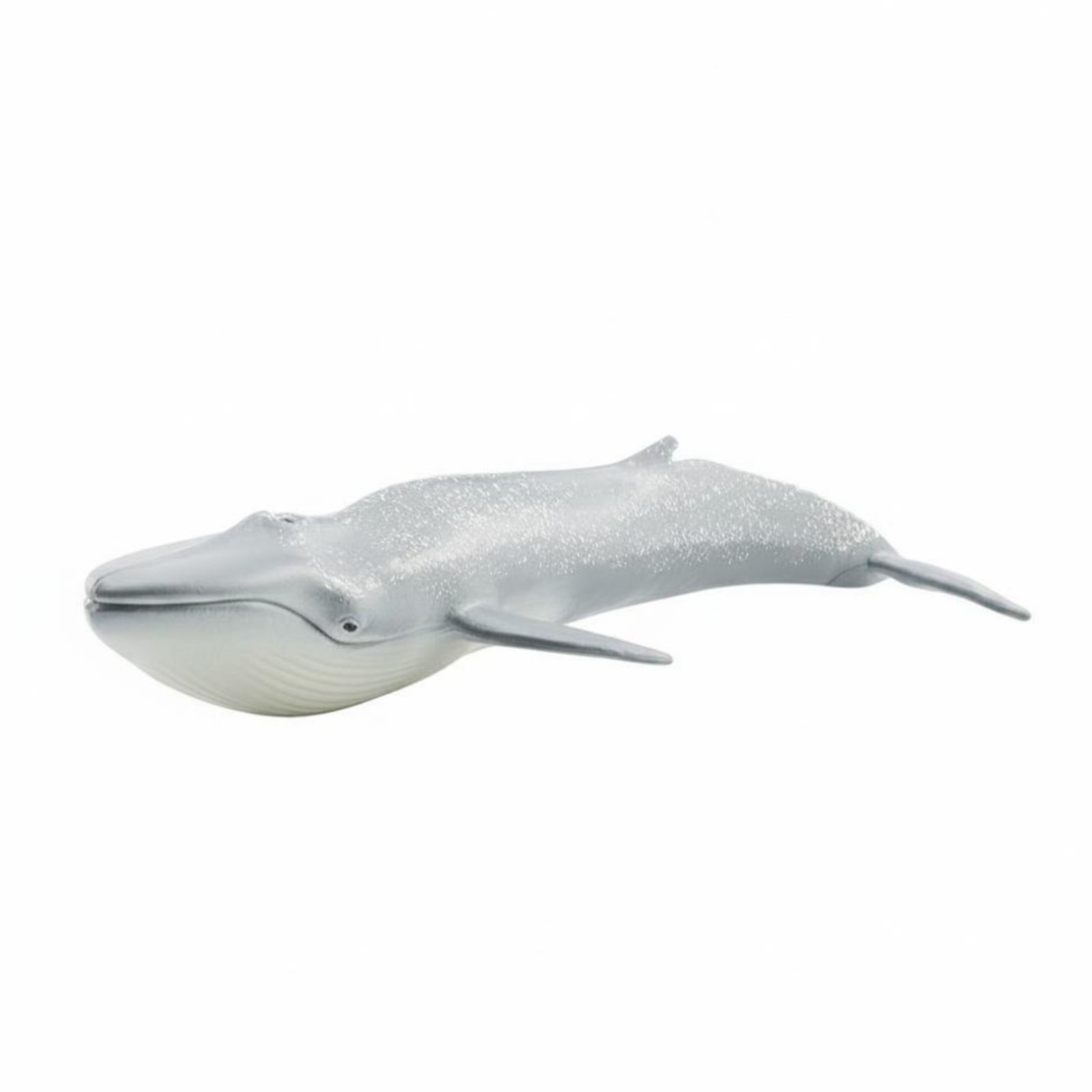 Blue Marine Mammal Model