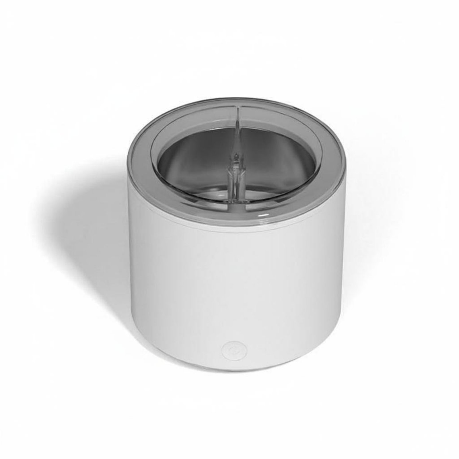 Oral Appliance Cleaner Device