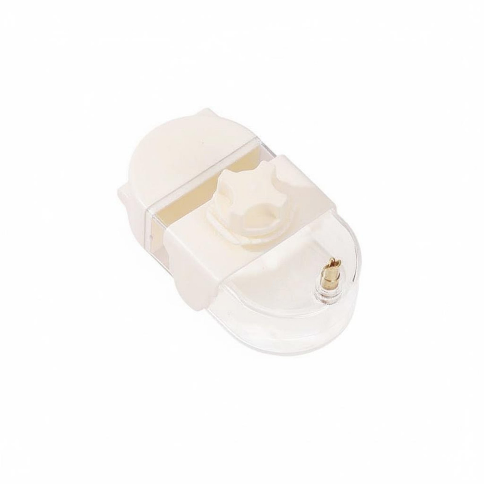 Parrot Water Feeder