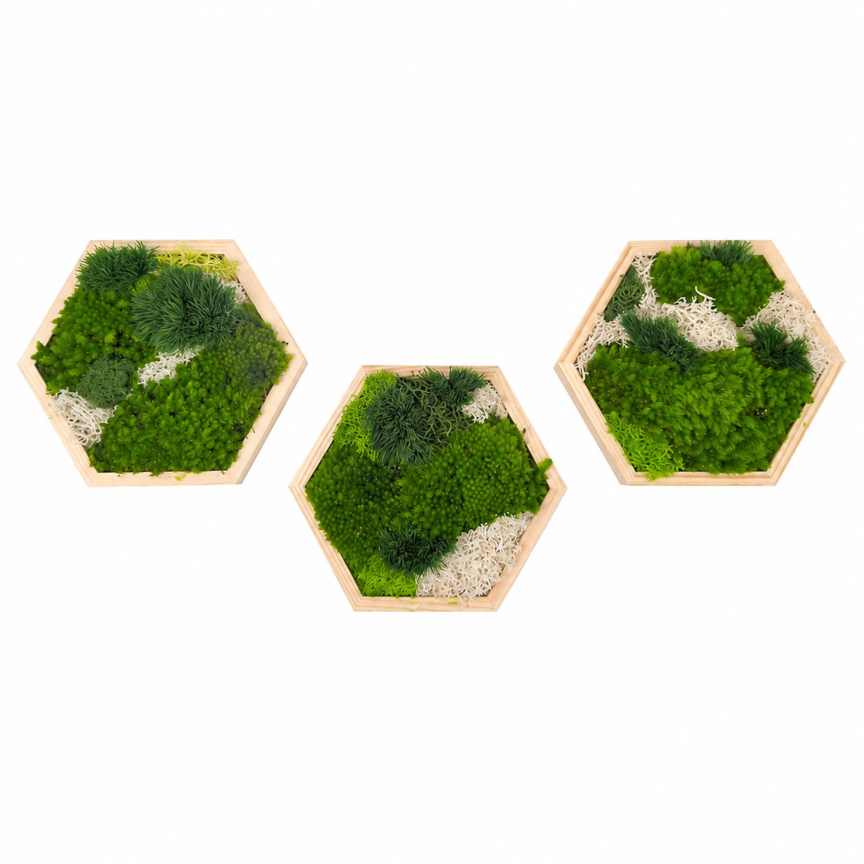 Preserved Moss Hexagon Photo Frame