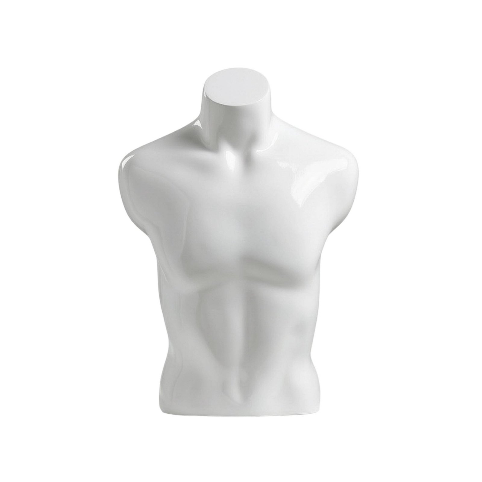 Athletic Male Mannequin Torso