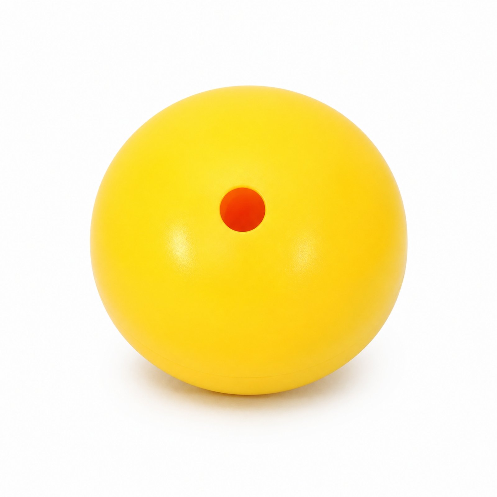 Agility Pole with Dome Base