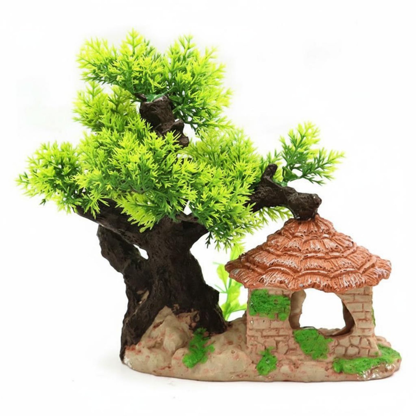 Fish Tank Landscape House