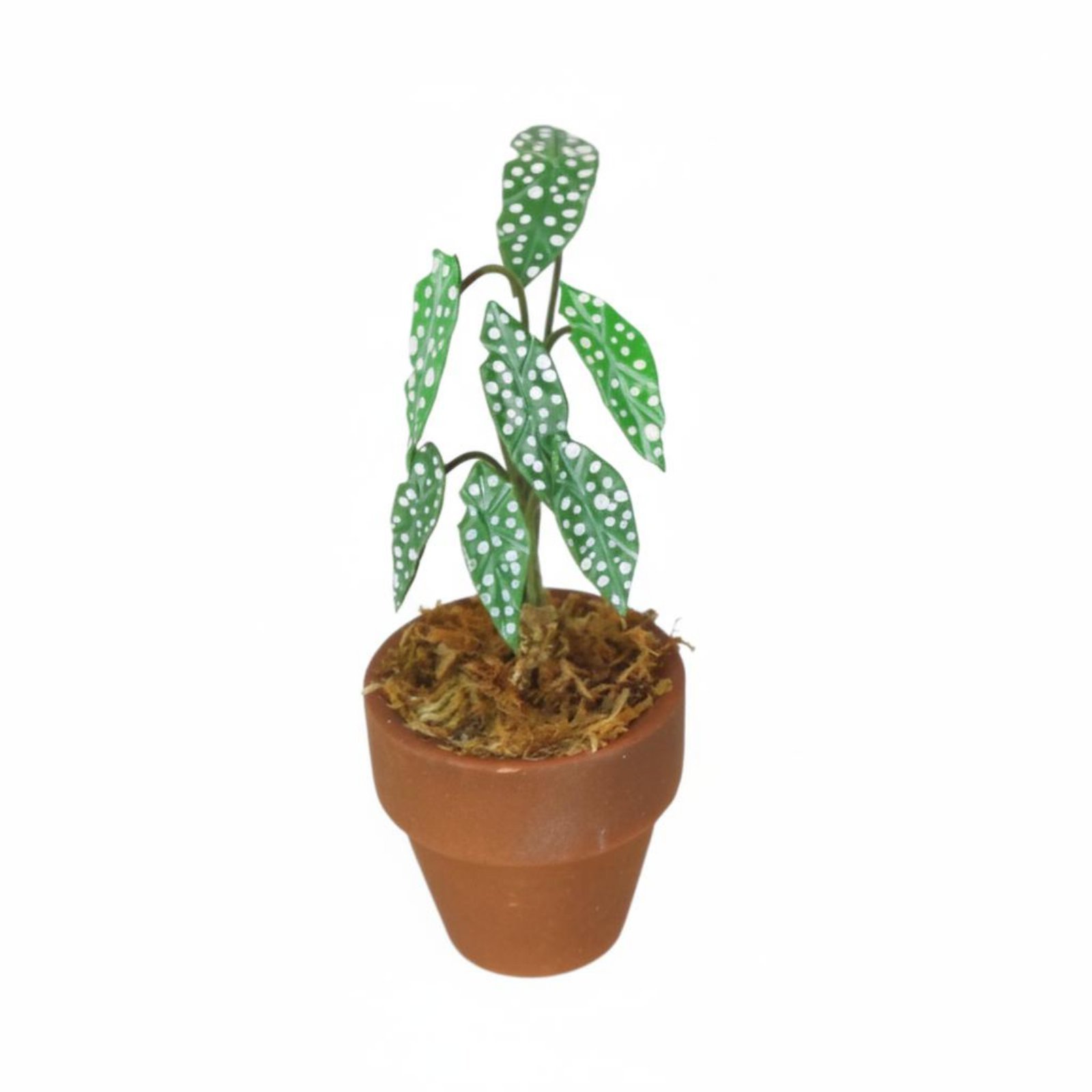 1:12 Scale Potted Plant