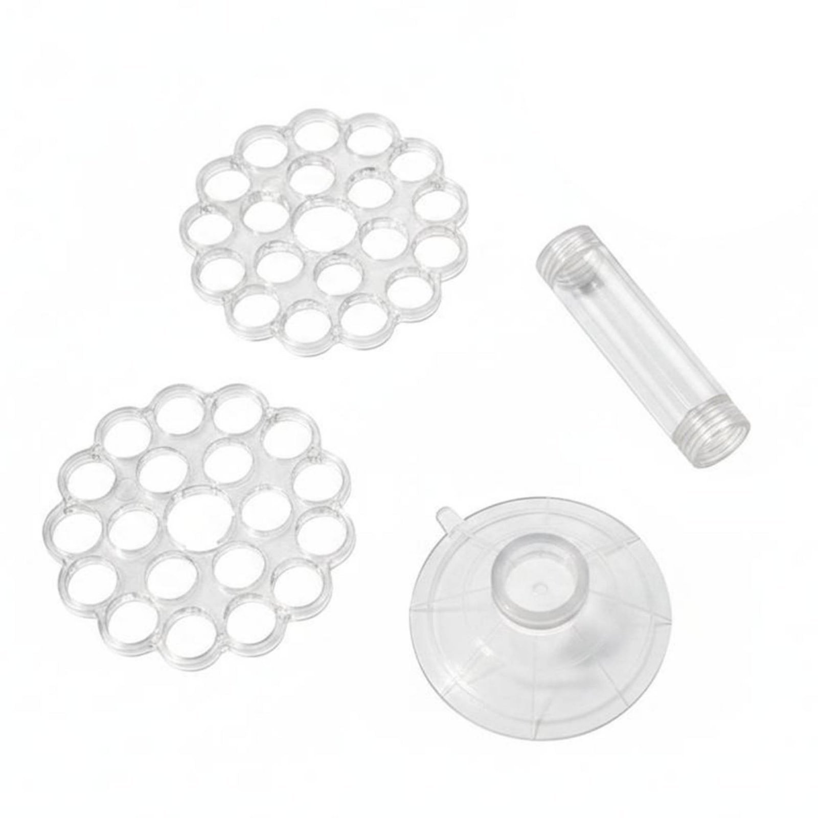 Clear Spiral Flower Holder