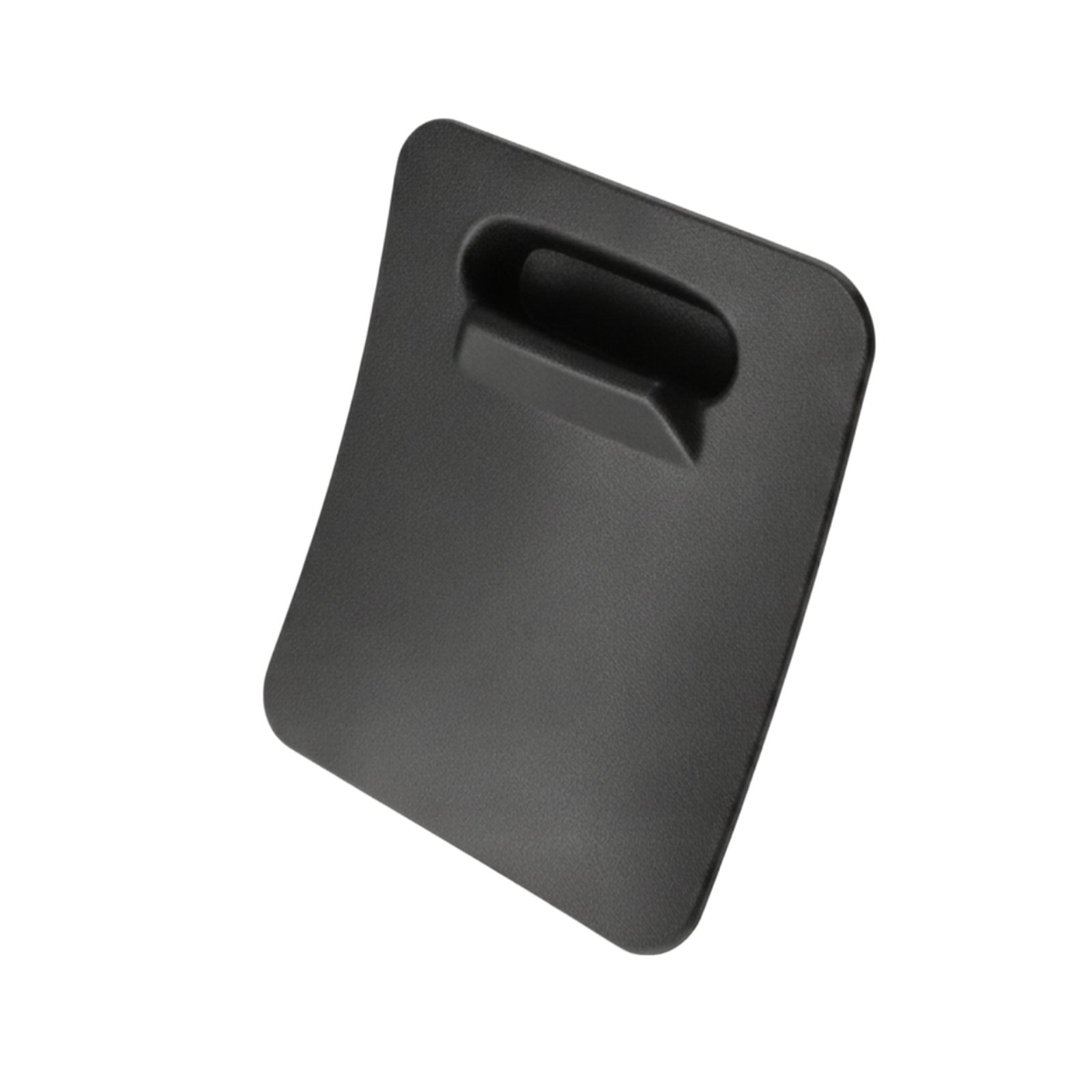 Engine Access Door Panel