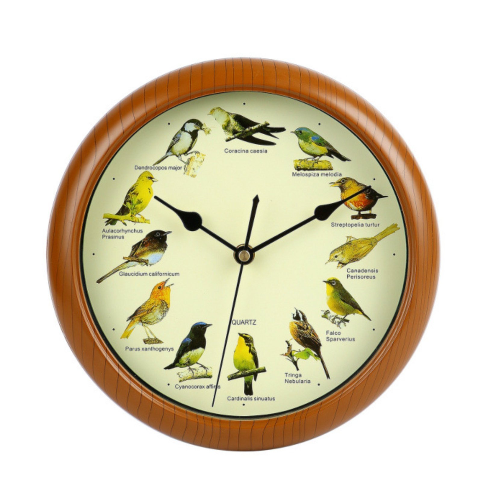 Bird Chime Wall Clock