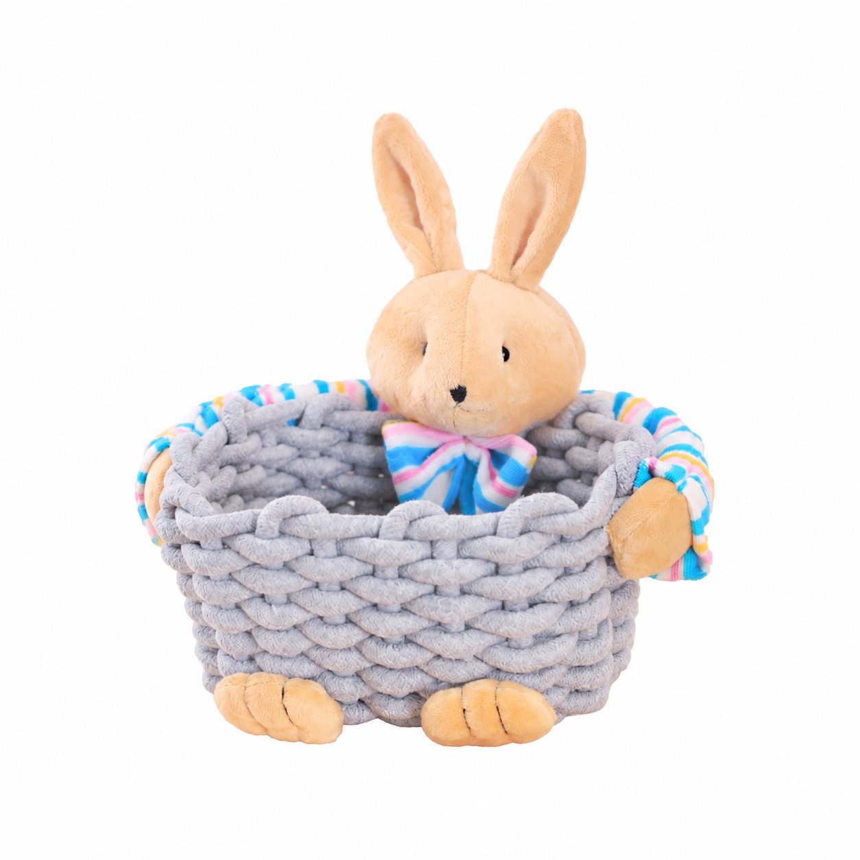 Desktop Storage Bucket