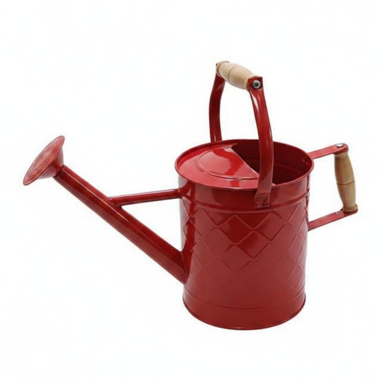 Large Watering Pot