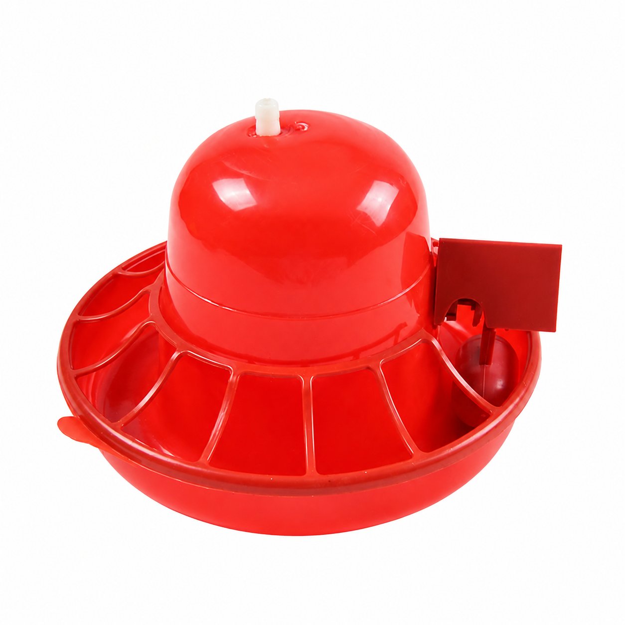 Automatic Chicken Waterer