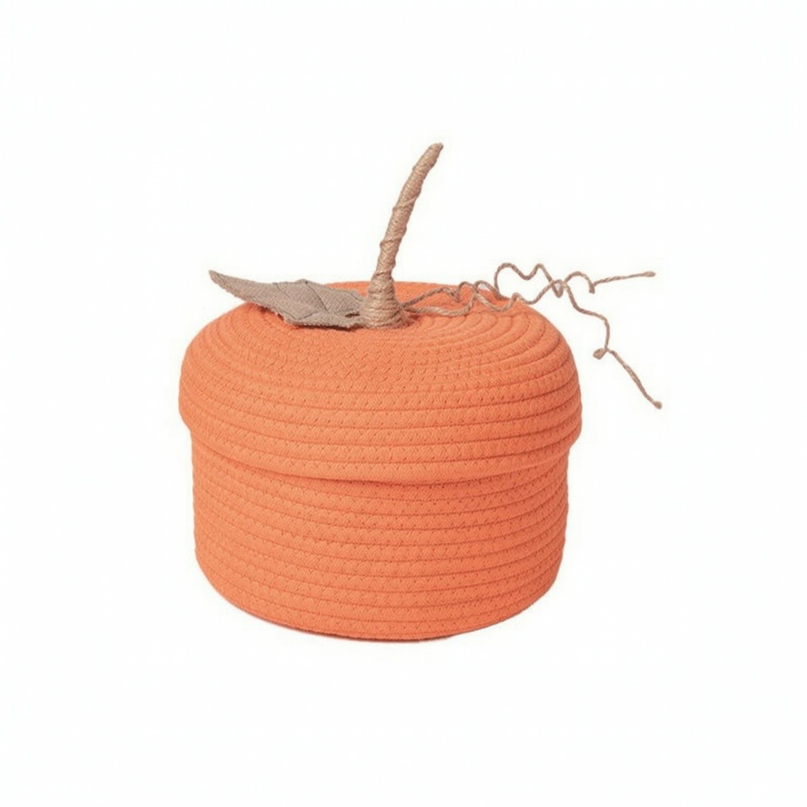 Rope Pumpkin Basket