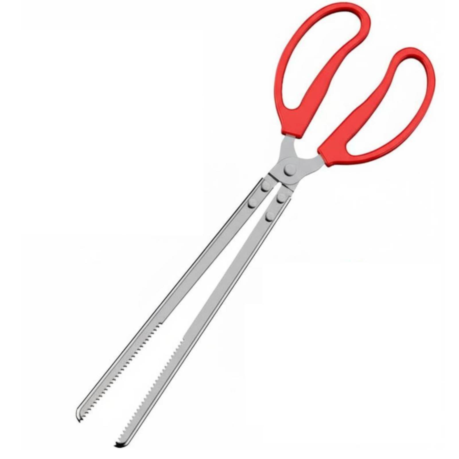 Stainless Steel Seafood Clamp