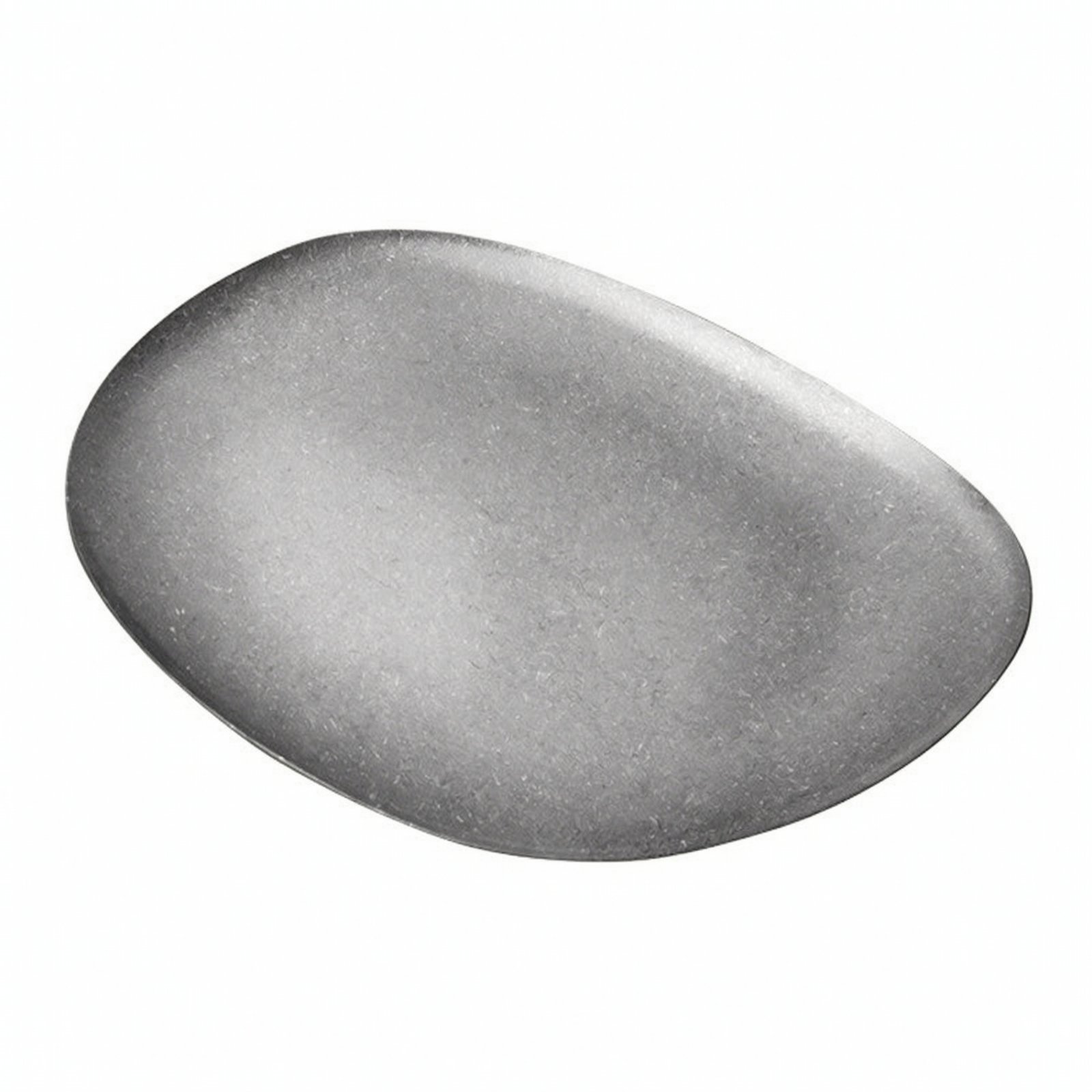 Stainless Steel Dinner Plate
