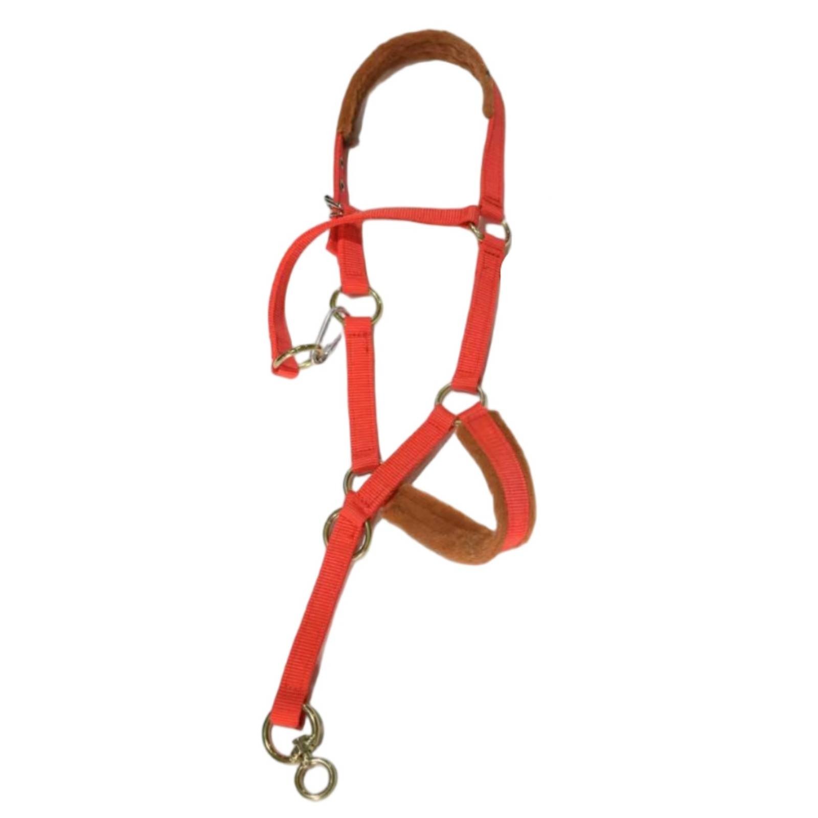 Padded Horse Halter