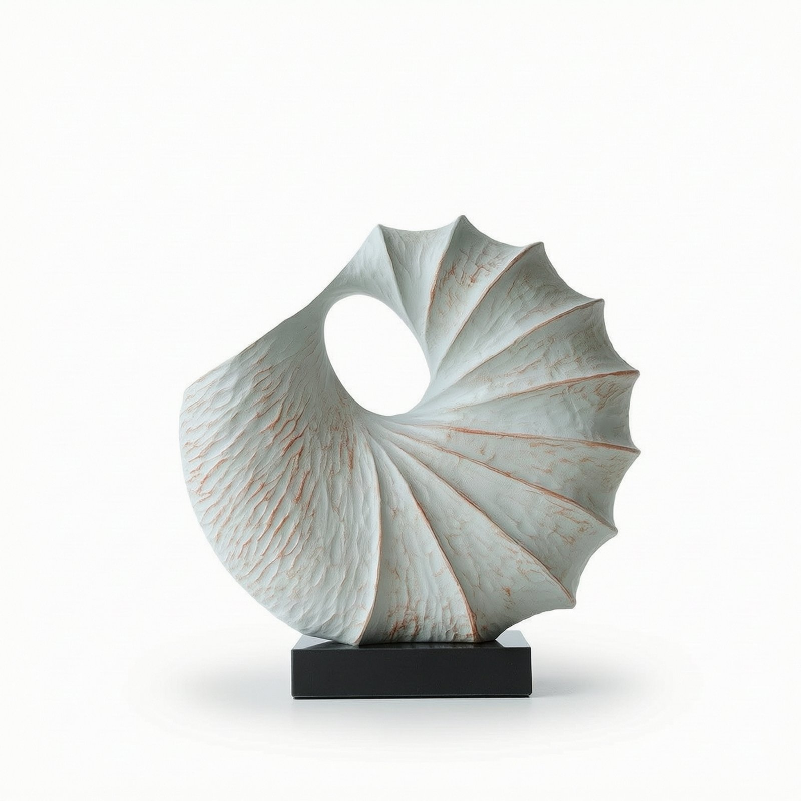 Shell Sculpture with Base