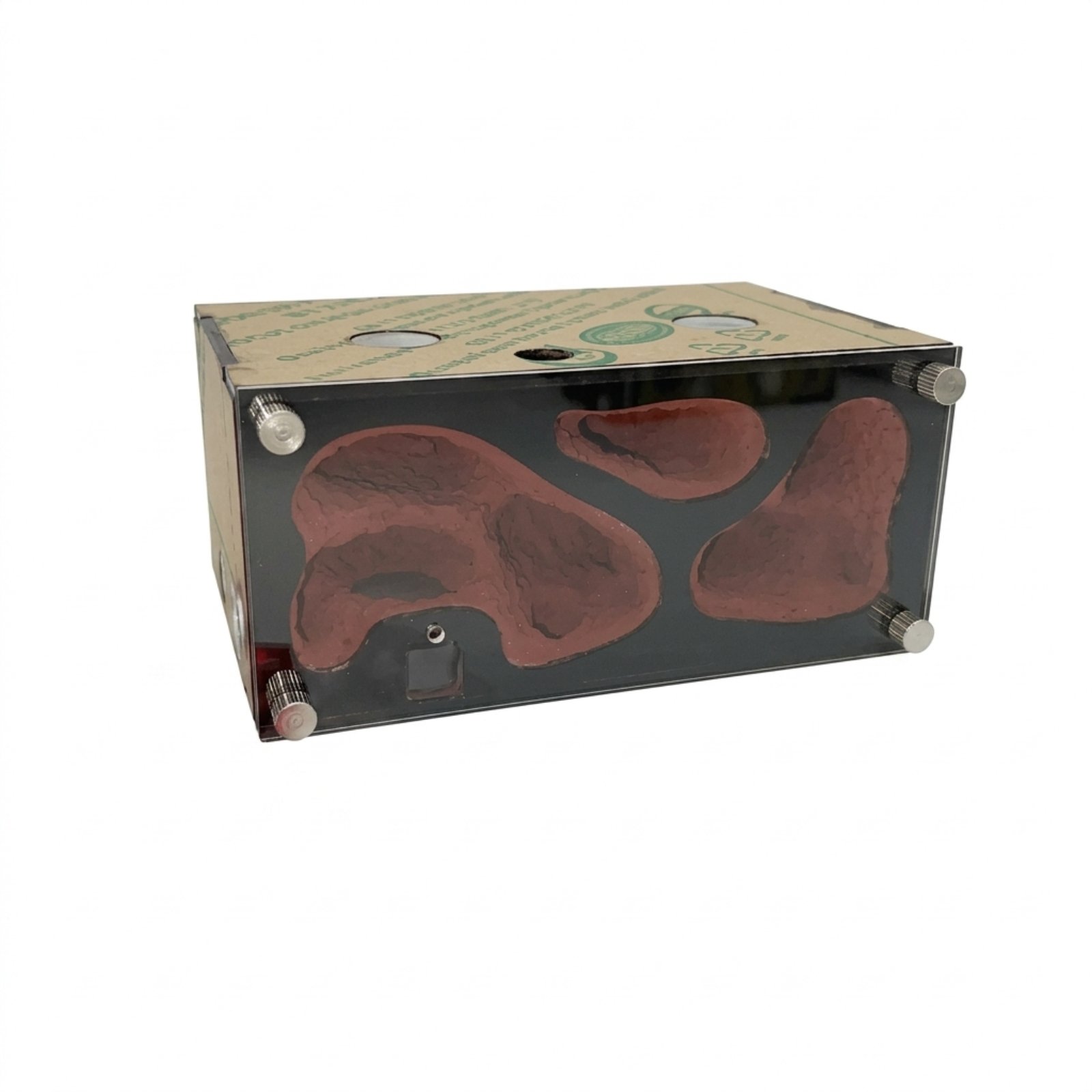 Expandable Formicarium Habitat Module