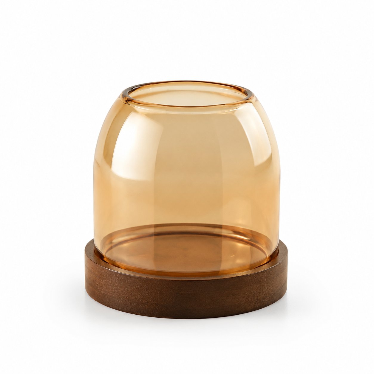 Glass Hydroponic Vase