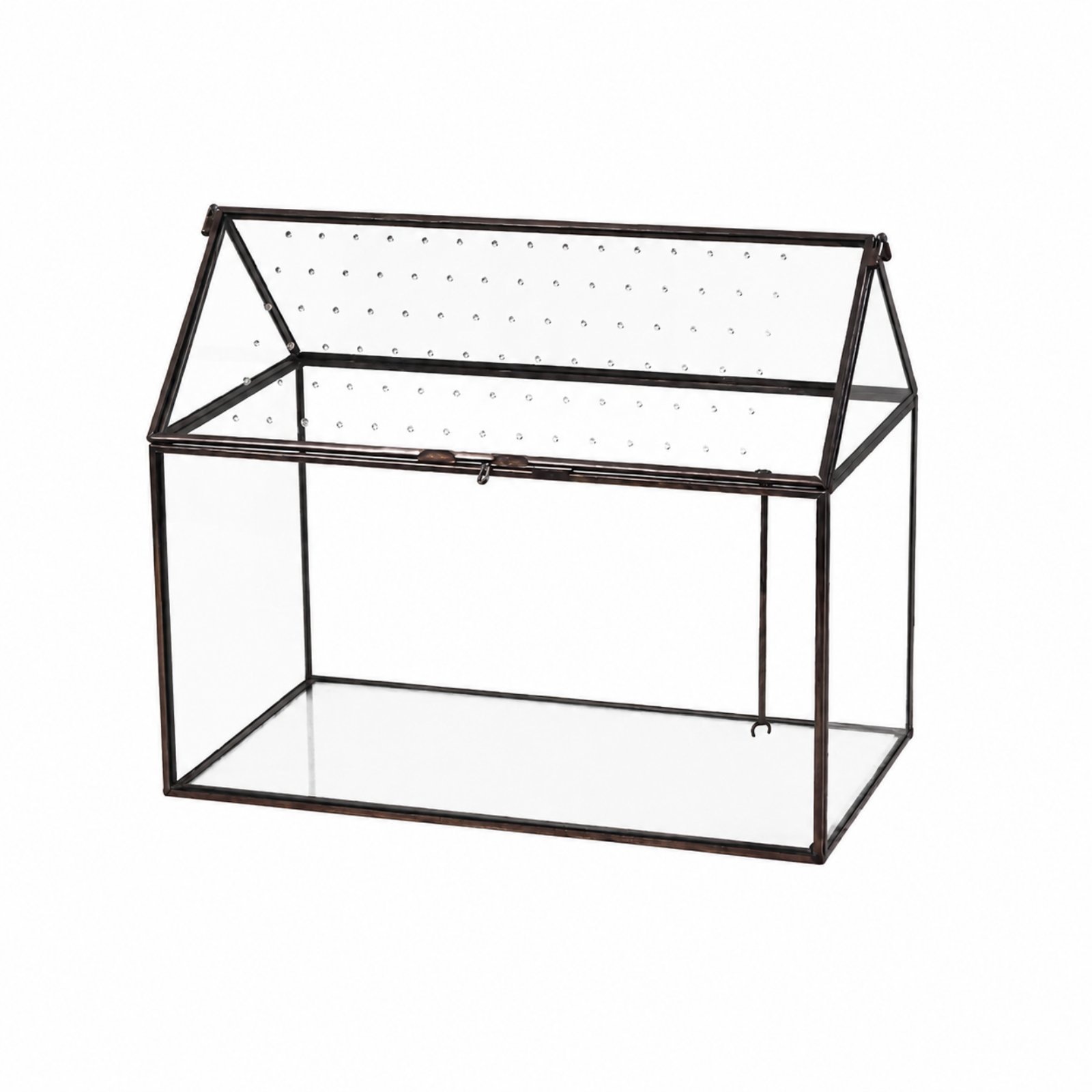 Glass Terrarium with Brass Frame