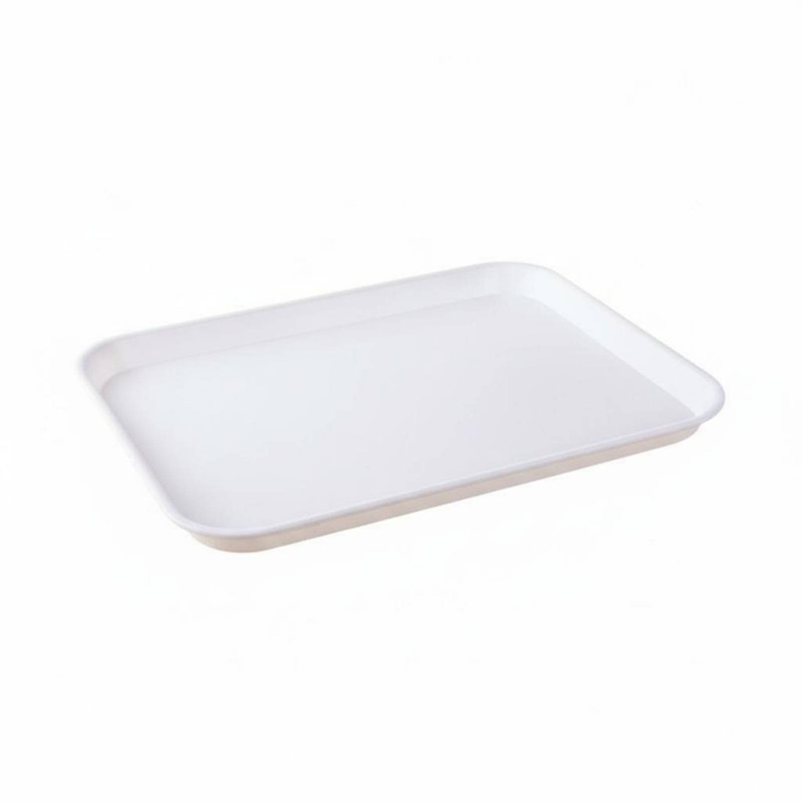 Rectangular Dining Plate