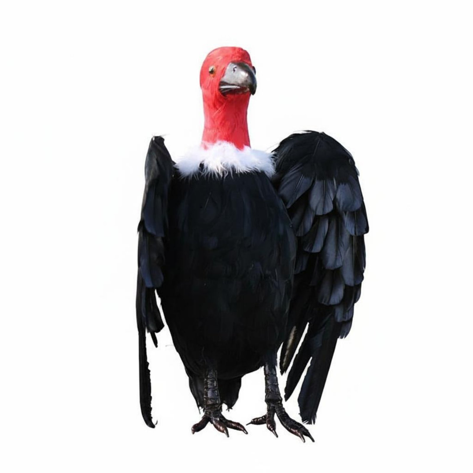 Realistic Bird Figurine