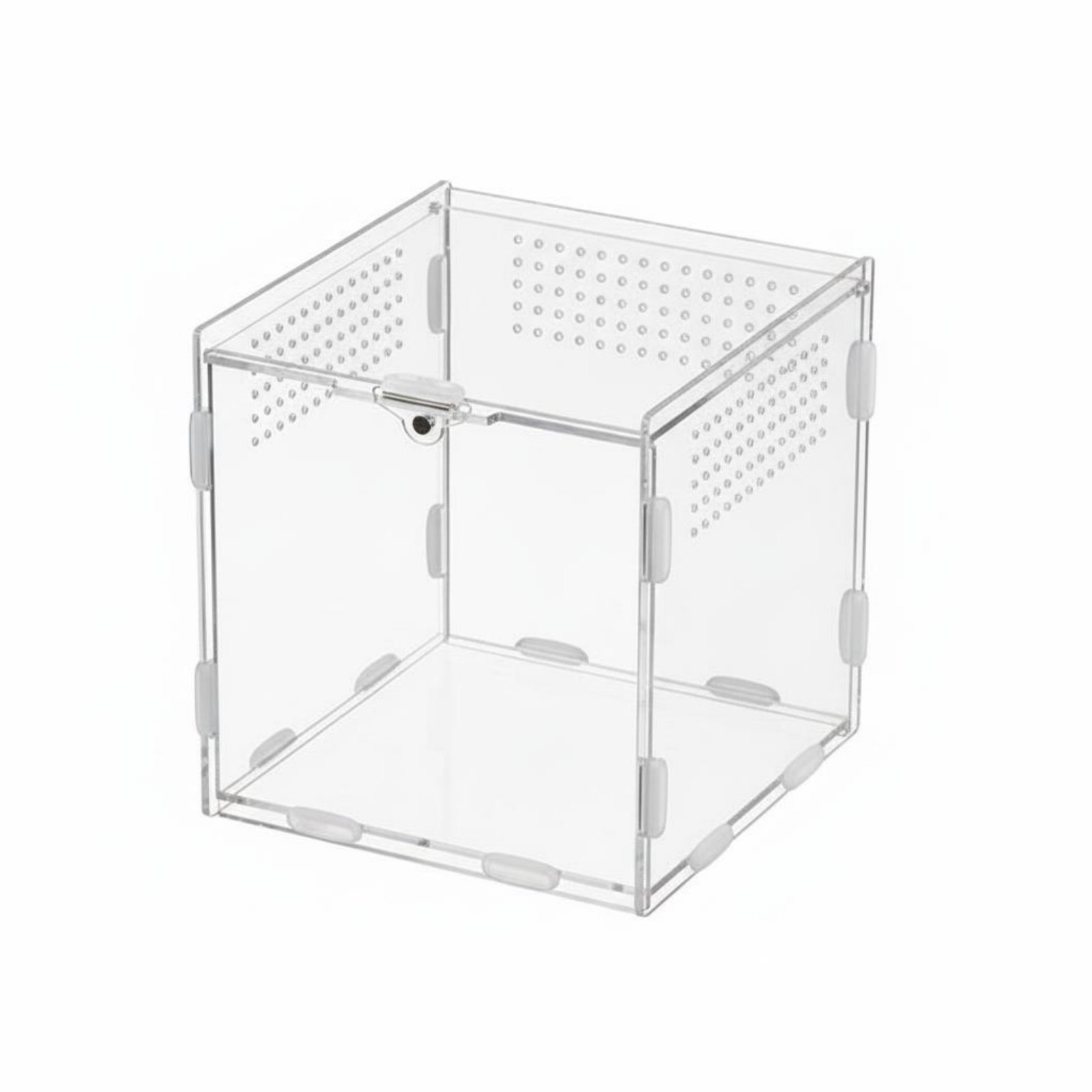 Clear Acrylic Reptile Box