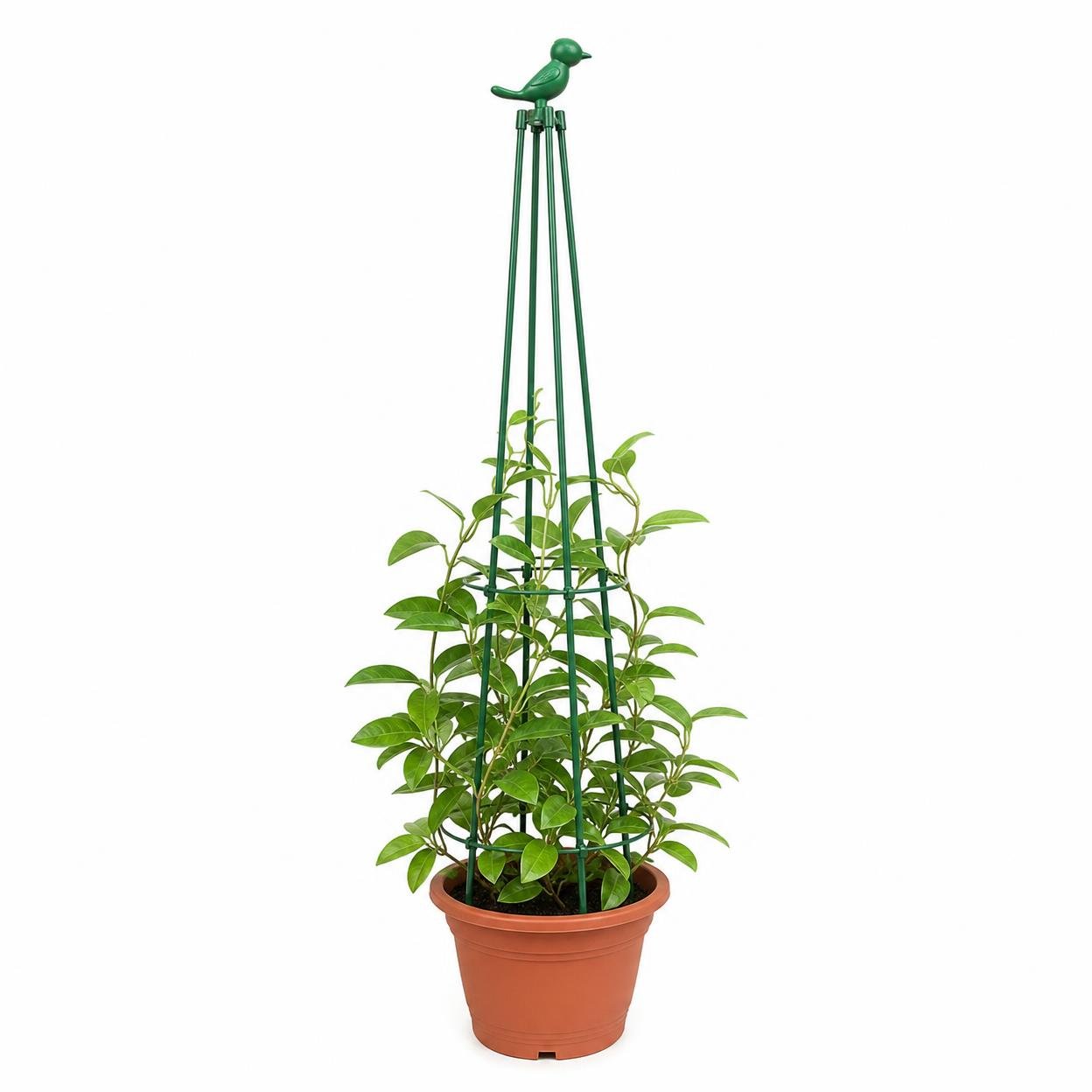 Four-Corner Plant Support Stand