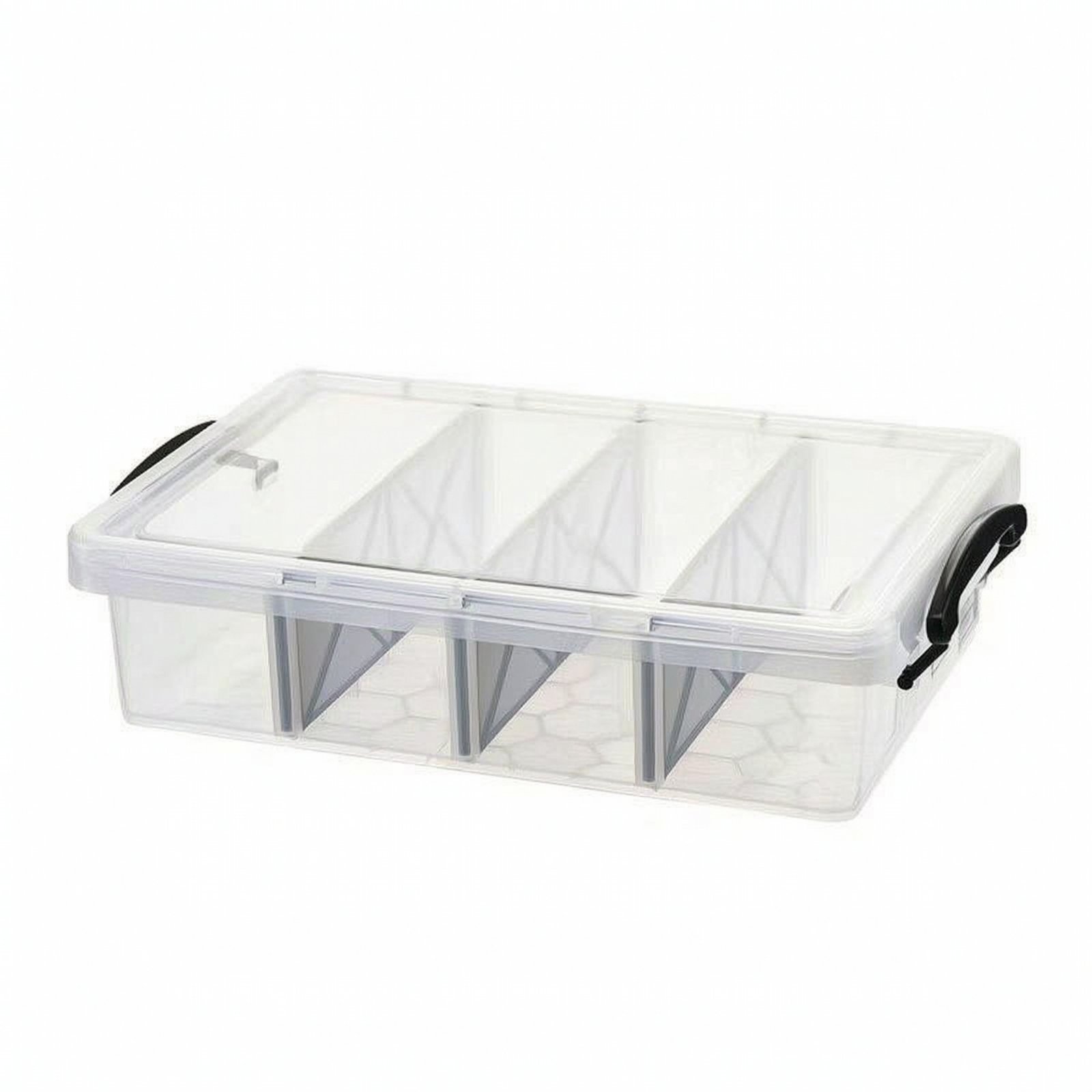 Clear Storage Box with Dividers