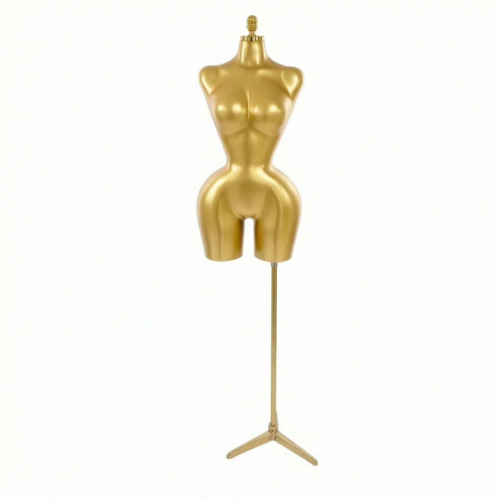 Female Mannequin Torso with Stand