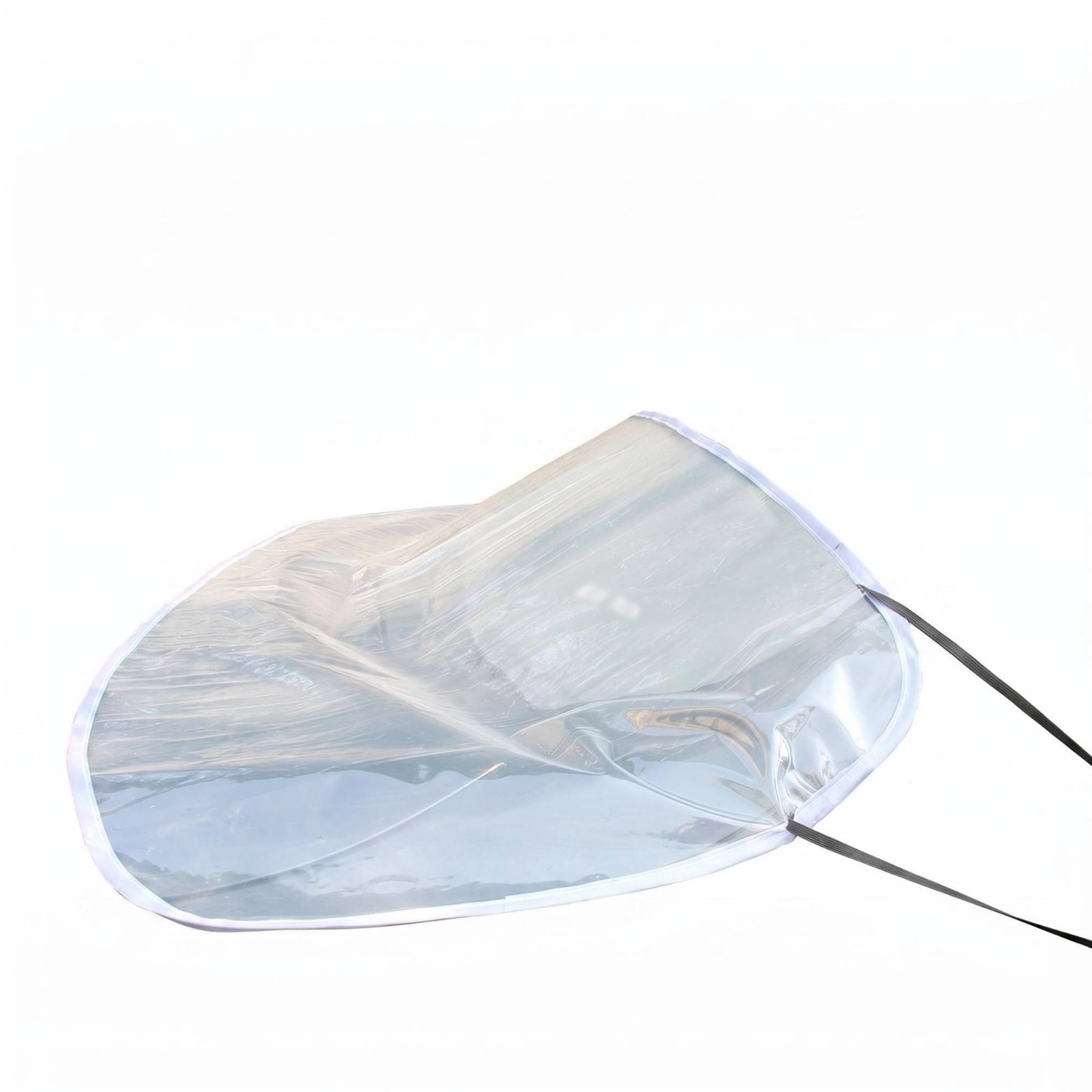 Transparent Windshield Guard