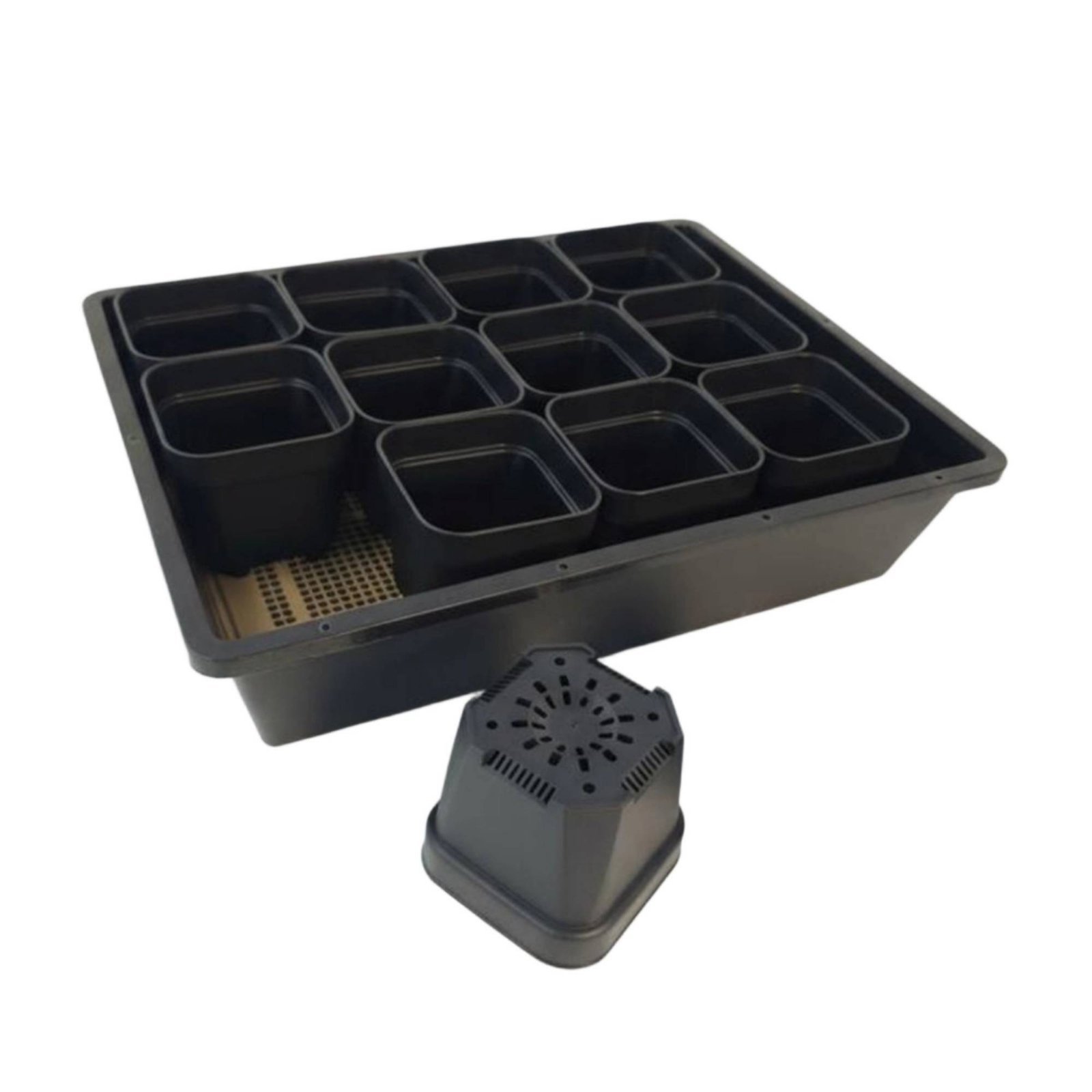 Growing Tray Set Clear View