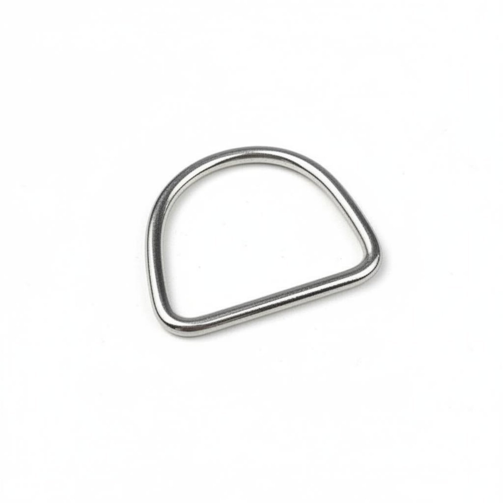 Stainless Steel D-Loop