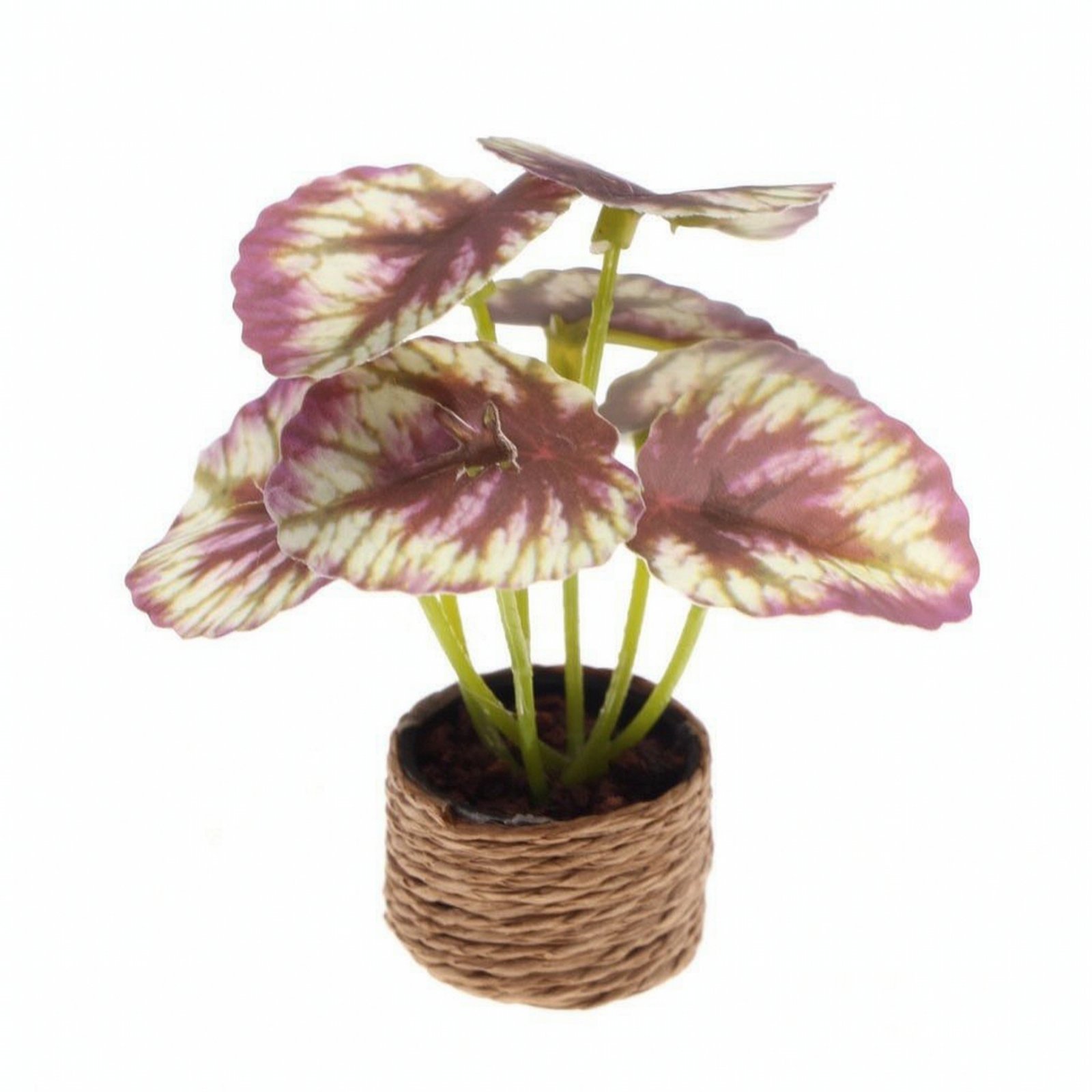 Miniature Potted Plant
