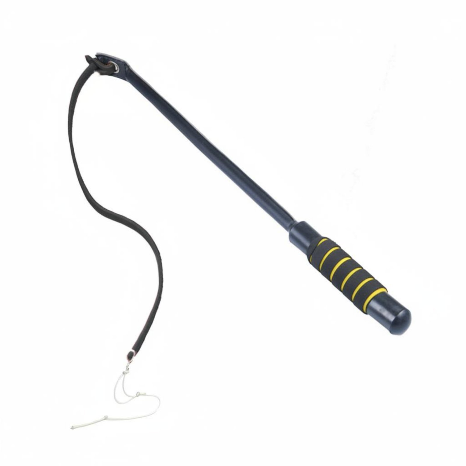 Versatile Training Guide Rod