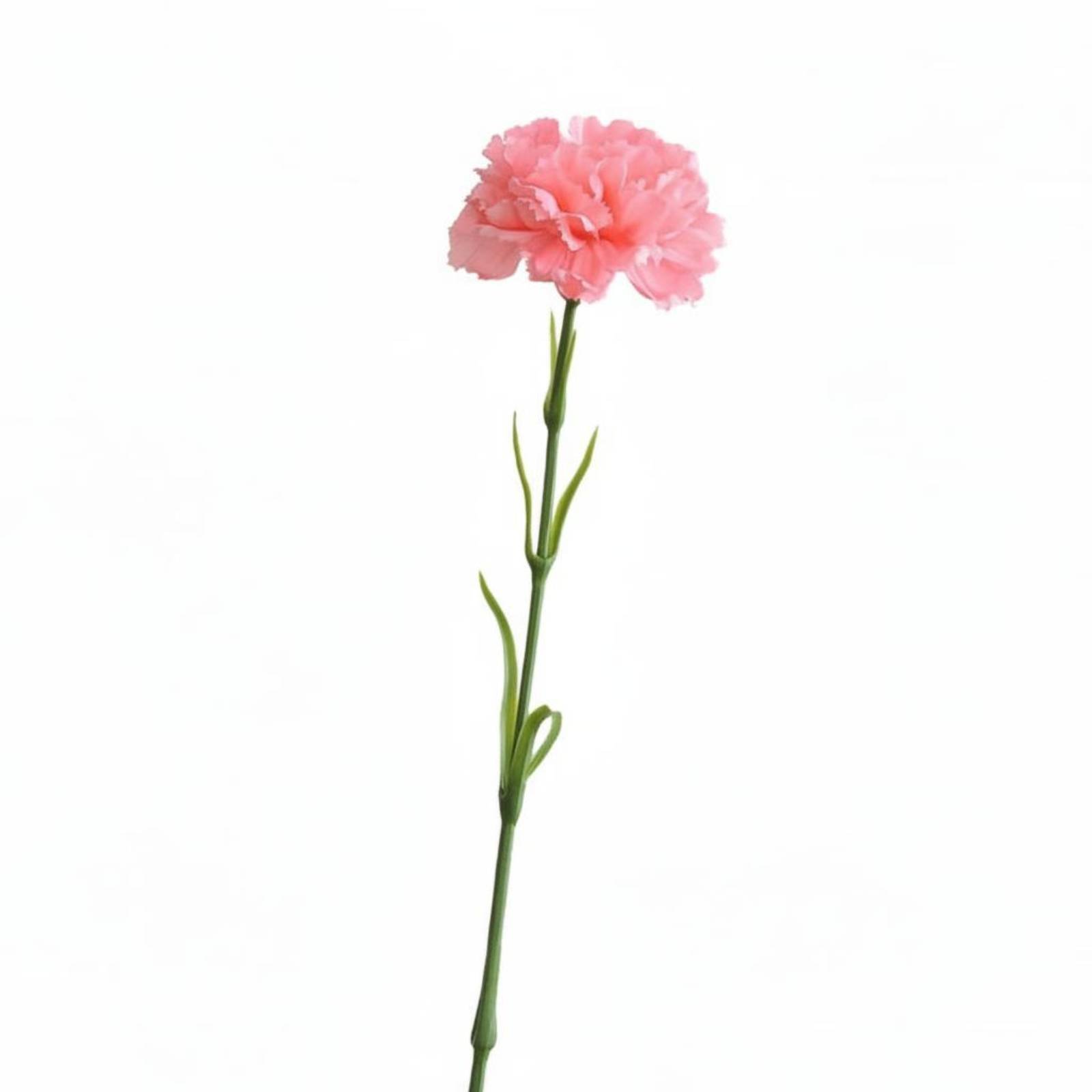 Carnation Stem Artificial